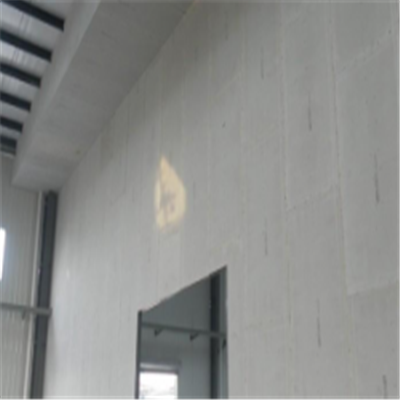 元谋宁波ALC板|EPS加气板隔墙与混凝土整浇联接的实验研讨